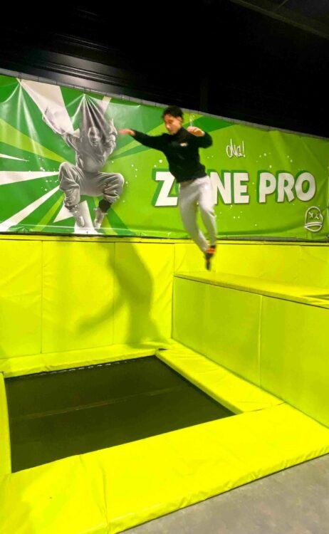 newsletters zone pro newsletters zone pro