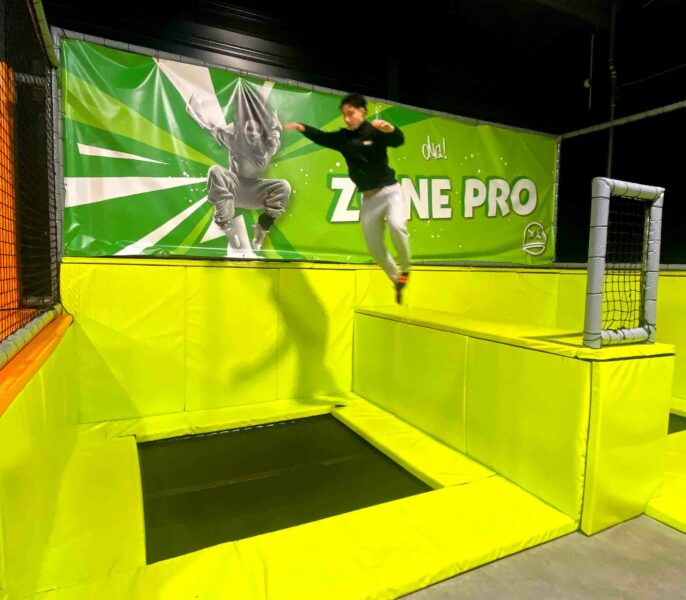 newsletters zone pro